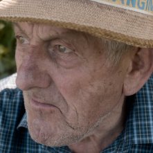 Tutto l'oro che c'è: un primo piano