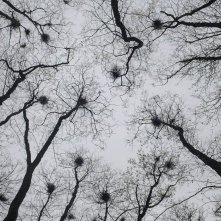 Tutto l'oro che c'è: un'immagine del film