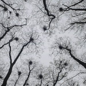 Tutto l'oro che c'è: un'immagine del film