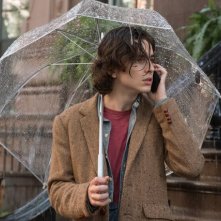 Un giorno di pioggia a New York: Timothée Chalamet in una scena del film