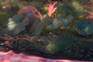 Frozen II - Il Segreto Di Arendelle - Clip 2