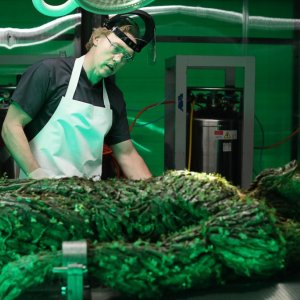 Swamp Thing: Kevin Durand e Derek Mears in una scena
