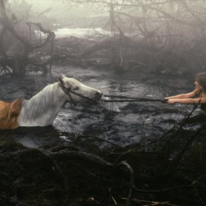 La storia infinita: Atreiu e Artax nelle Paludi della tristezza