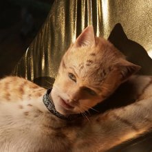 Taylor Swift in una scena del film Cats