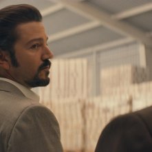 Narcos: Mexico, Diego Luna in una foto degli episodi