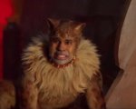 Cats, Jason Derulo difende il film: 'Le critiche non contano, è un'opera d'arte'