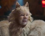Cats: Universal ha rimosso il film dai titoli in corsa per gli Oscar 2020