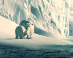 I 10 documentari più popolari su Netflix Italia nel 2019