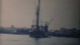 Hare Krishna - Il Mantra, Il Movimento E Lo Swami Che Ha Dato Inizio A Tutto - Trailer