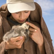 Sulle ali dell'avventura: una scena del film con Louis Vazquez