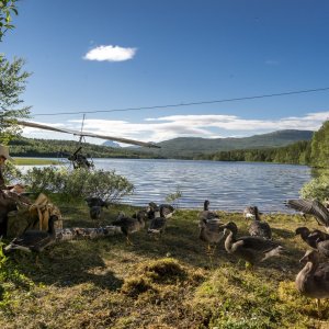 Sulle ali dell'avventura: un'immagine del film