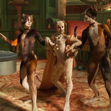 Cats: Naoimh Morgan, Francesca Hayward, Danny Collins in una scena del film