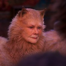 Cats: una scena del film con Judi Dench