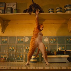 Cats: Rebel Wilson in una scena del film