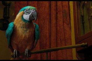 Dolittle - Meet Polinesia -  Emma Thompson