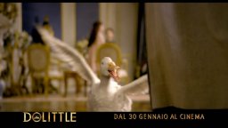 Dolittle - Spot - Ciao Pranzo