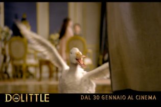 Dolittle - Spot - Ciao Pranzo