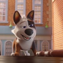 Tappo - Cucciolo in un mare di guai: un'immagine del film