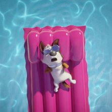 Tappo - Cucciolo in un mare di guai: una scena del film