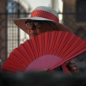 Il Drago di Romagna: un'immagine del docu-film