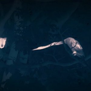 Notte sul pianeta Terra: una scena di caccia