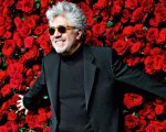 Oscar 2020: Pedro Almodovar si è lasciato sfuggire un segreto sui premi?
