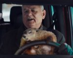 Ricomincio da Capo: Bill Murray rivive il Giorno della Marmotta in uno spot
