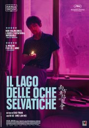 Locandina di Il lago delle oche selvatiche