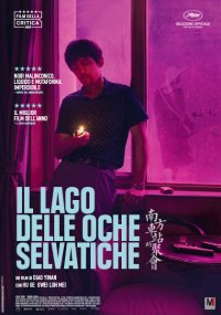 Locandina di Il lago delle oche selvatiche