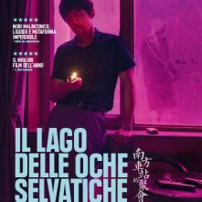 Locandina di Il lago delle oche selvatiche