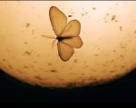 The Mothman Legacy: il trailer del documentario sull'Uomo Falena