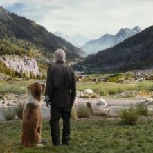 Il richiamo della foresta: un momento del film