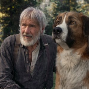 Il richiamo della foresta: Harrison Ford in una scena del film