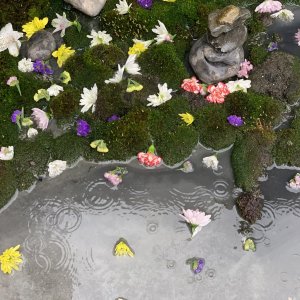 Irradiated: un momento del film