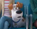 Pets 2 – vita da animali, clip esclusiva del film in onda stasera su Sky Cinema Uno