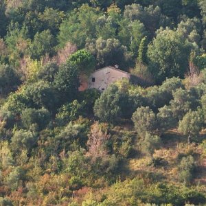 Noci Sonanti: una scena del film