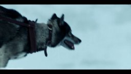 Togo - Una Grande Amicizia - Trailer Italiano