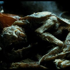 Foto di scena