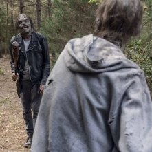 The Walking Dead 10 12 14