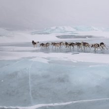 Togo: una grande amicizia, Willem Dafoe in una scena
