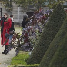 Modern Family 11: un'immagine tratta dalla stagione finale