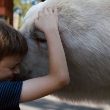 Timmy Frana: Qualcuno ha sbagliato, Winslow Fegley in un'immagine