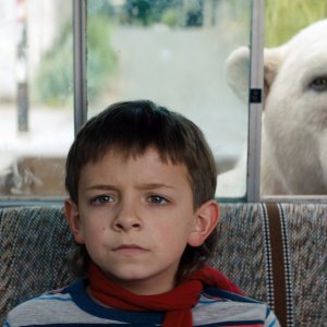 Timmy Frana: Qualcuno ha sbagliato, Winslow Fegley in una sequenza