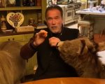 Arnold Schwarzenegger e i suoi amici equini ci consigliano di restare a casa
