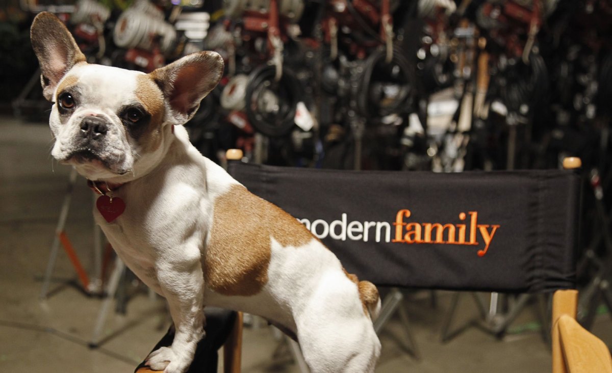 Modern Family addio a Stella, il cane di Jay Pritchett nella serie