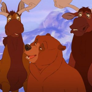 Koda, fratello orso: una scena del film