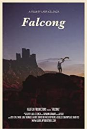 Locandina di Falcong