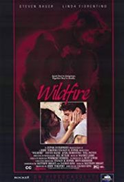 Locandina di Wildfire - All'improvviso un maledetto amore