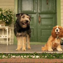 Lilli e il vagabondo: un'immagine del film Disney