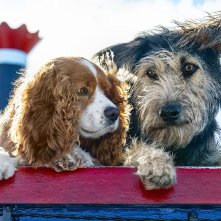 Lilli e il vagabondo: una scena del film Disney